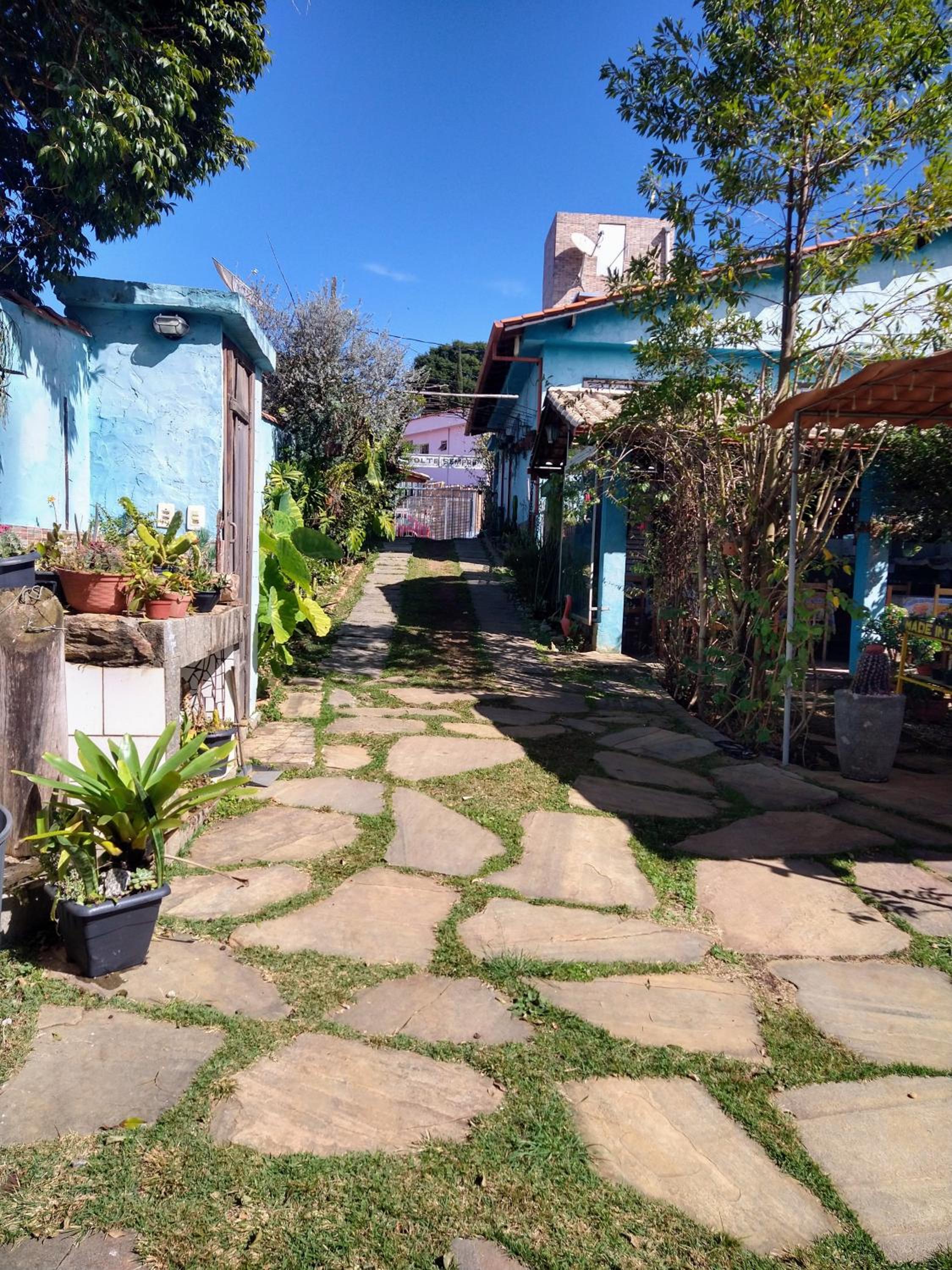 garden