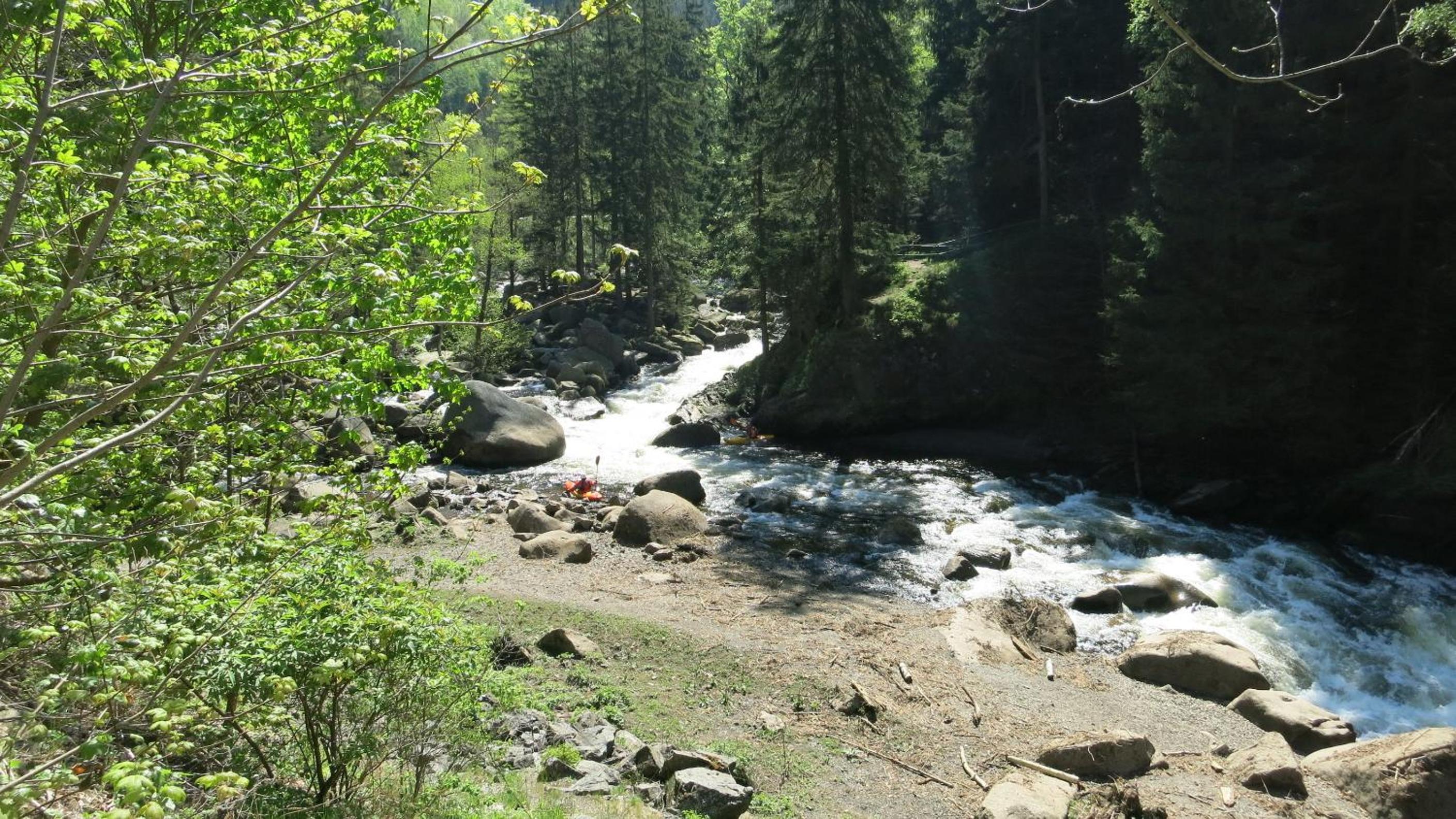 Ferienwohnung Harz