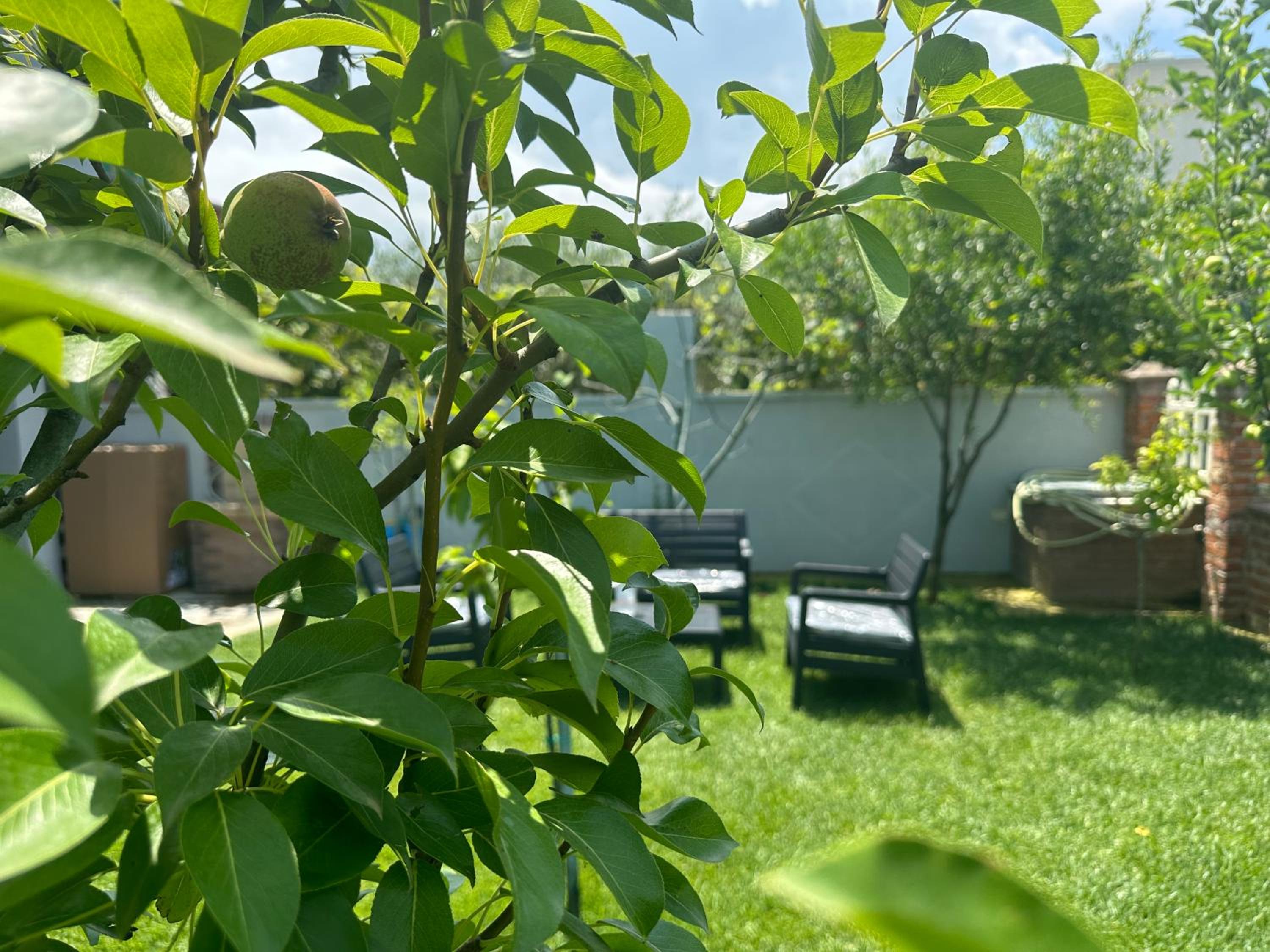 Lalzi Rental apartments