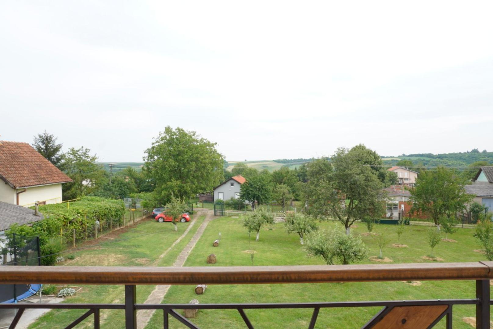 Photo 7