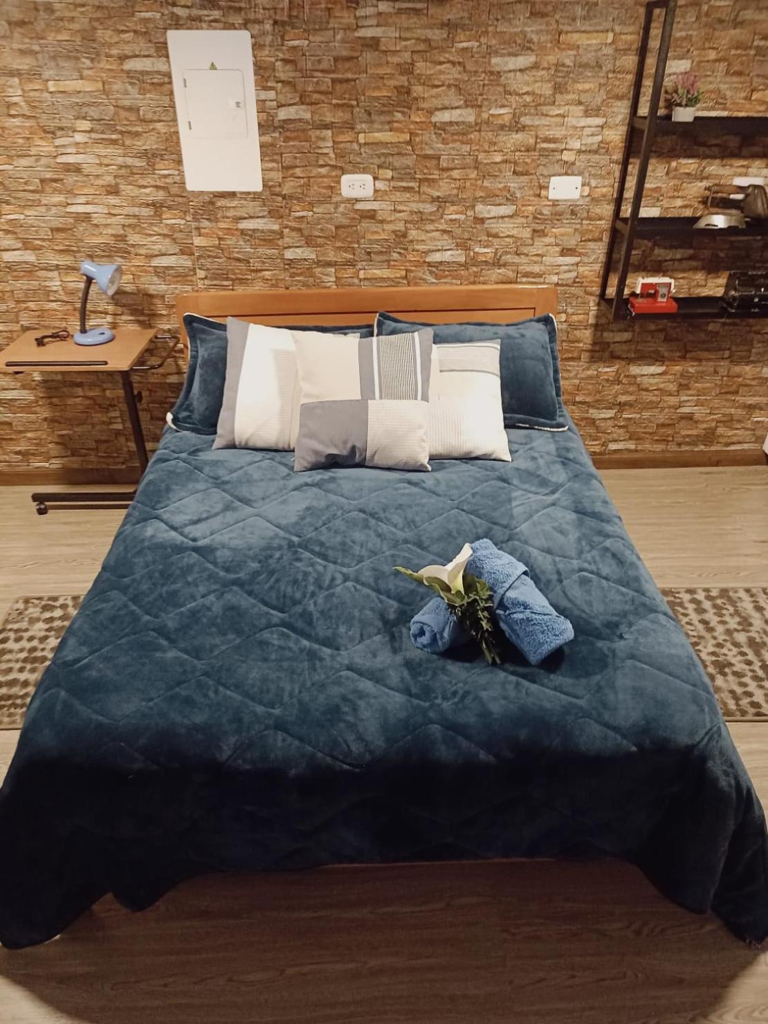 Aparta estudio Xenia view 2