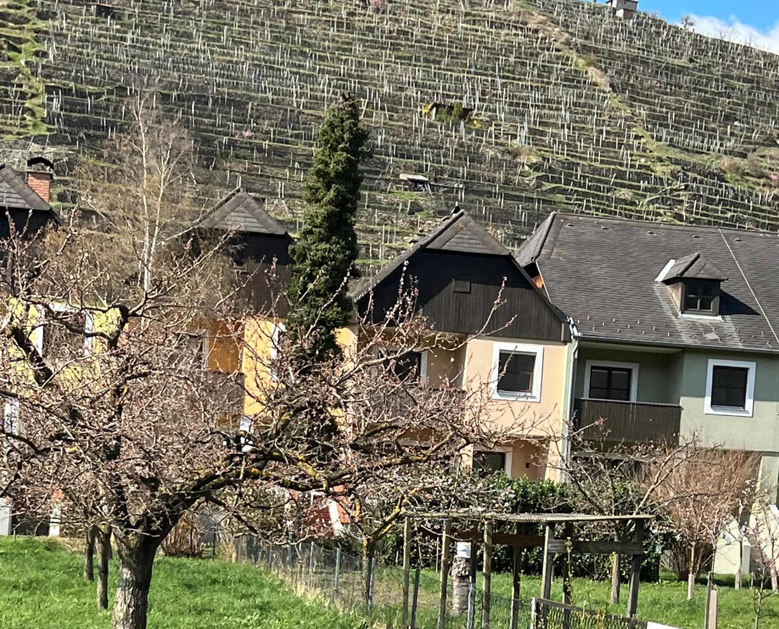 SOMMERHAUS JOSEFA