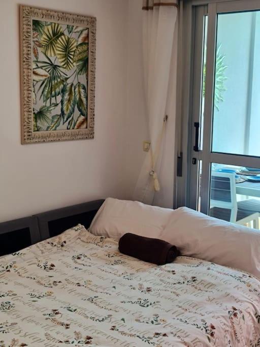 Homely Apt in Modern building with Pool
