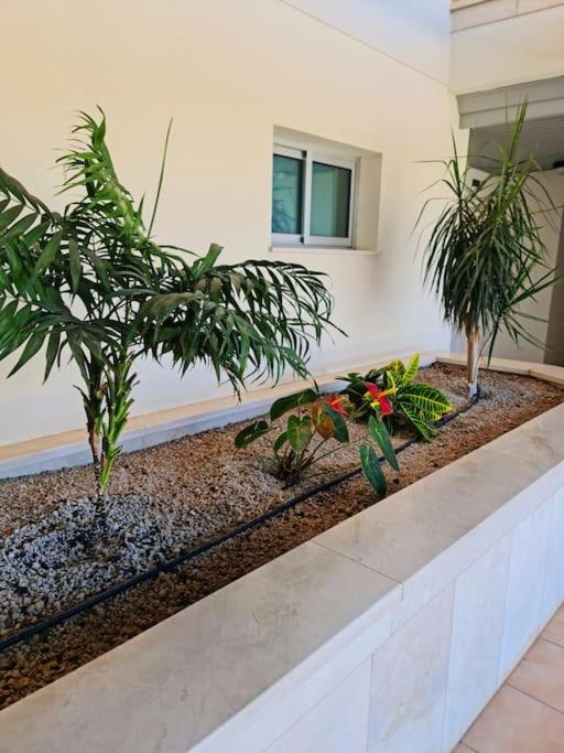 Homely Apt in Modern building with Pool