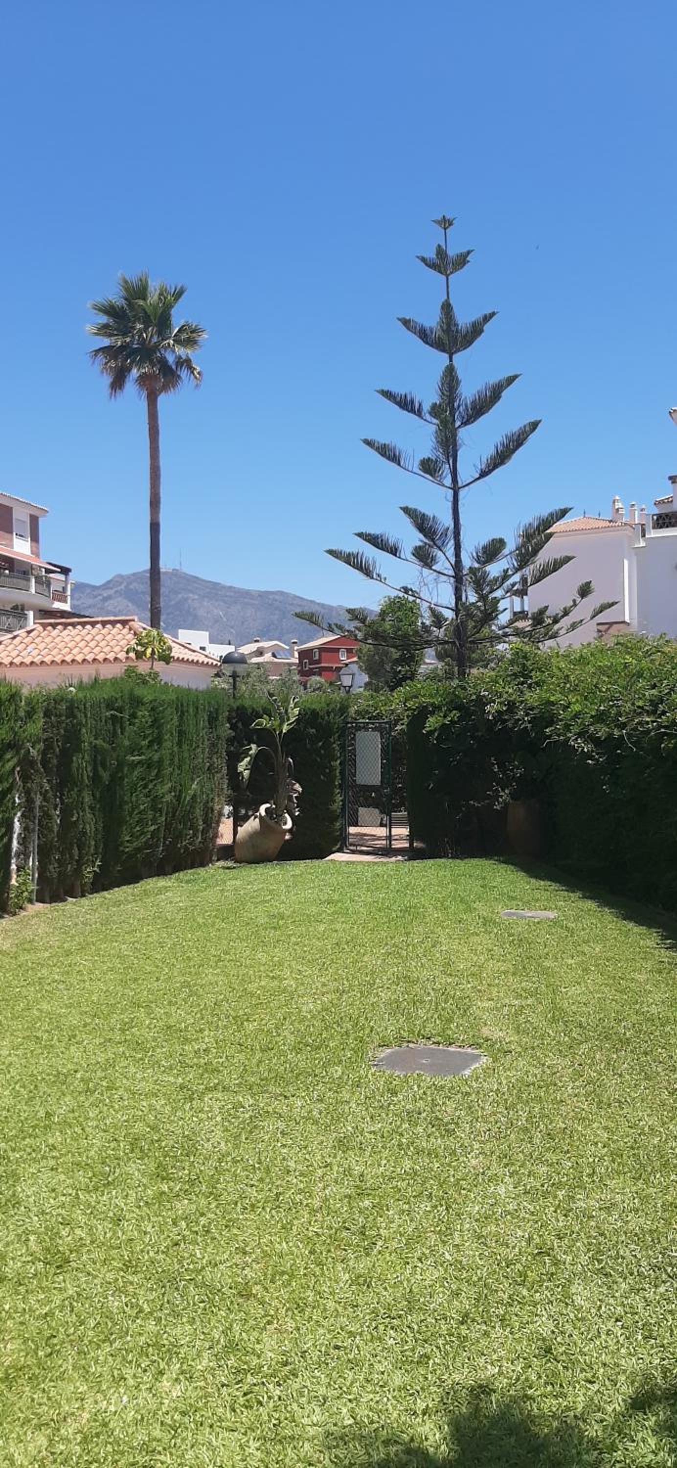 Estrella del Mar