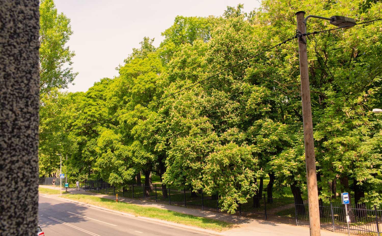 Kalamaja Park Apartment fast net 150 G, bath