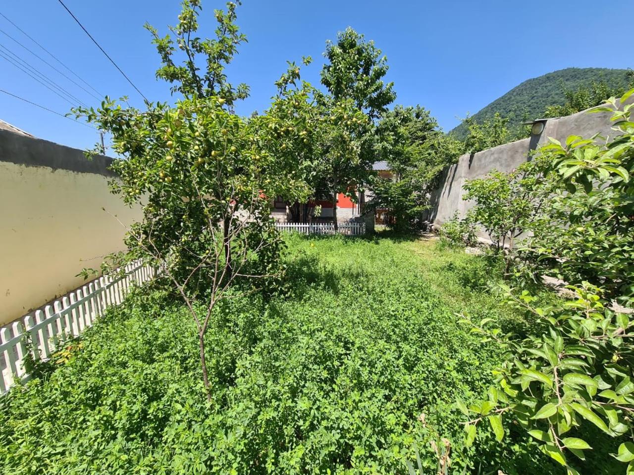 Nurlan Villa