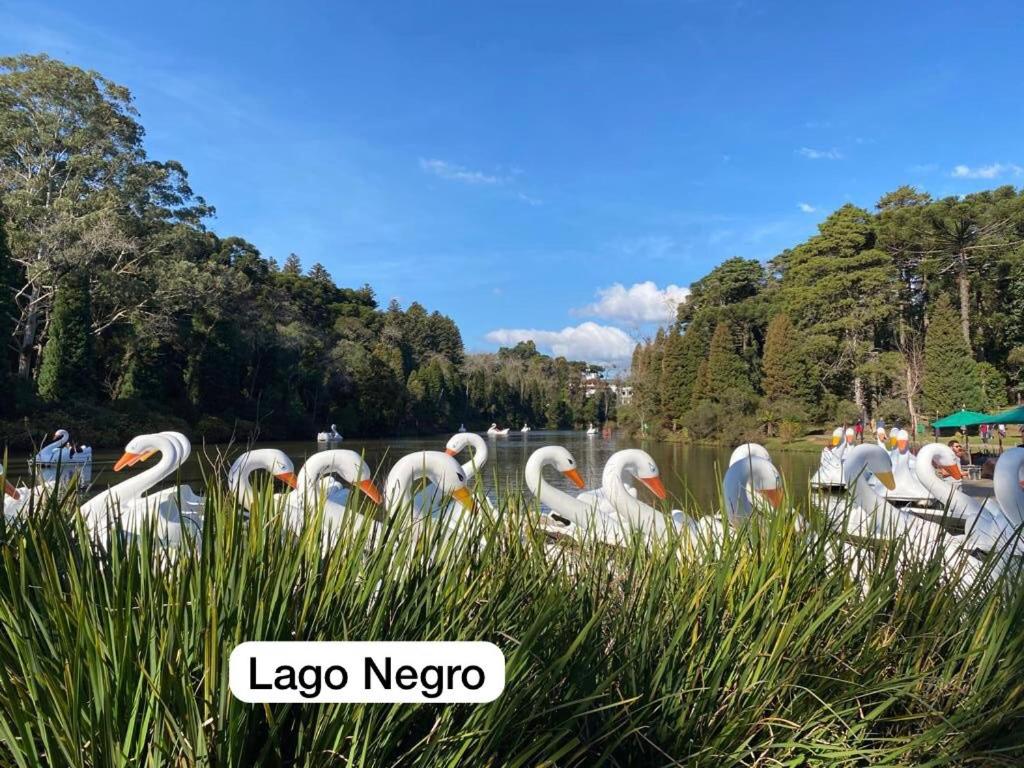 Hospedagem do lago