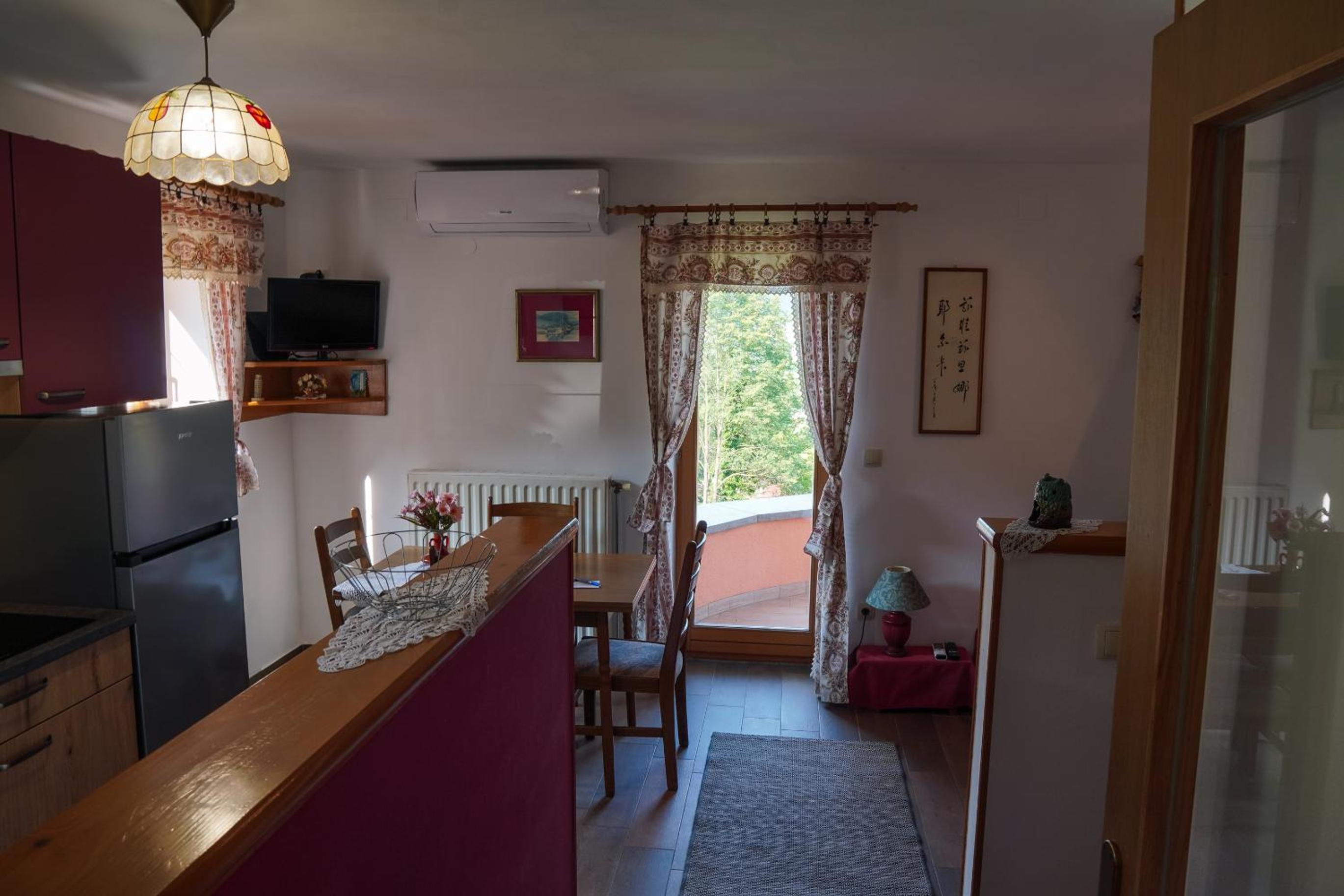 Apartma pr' Gamilcu view 3