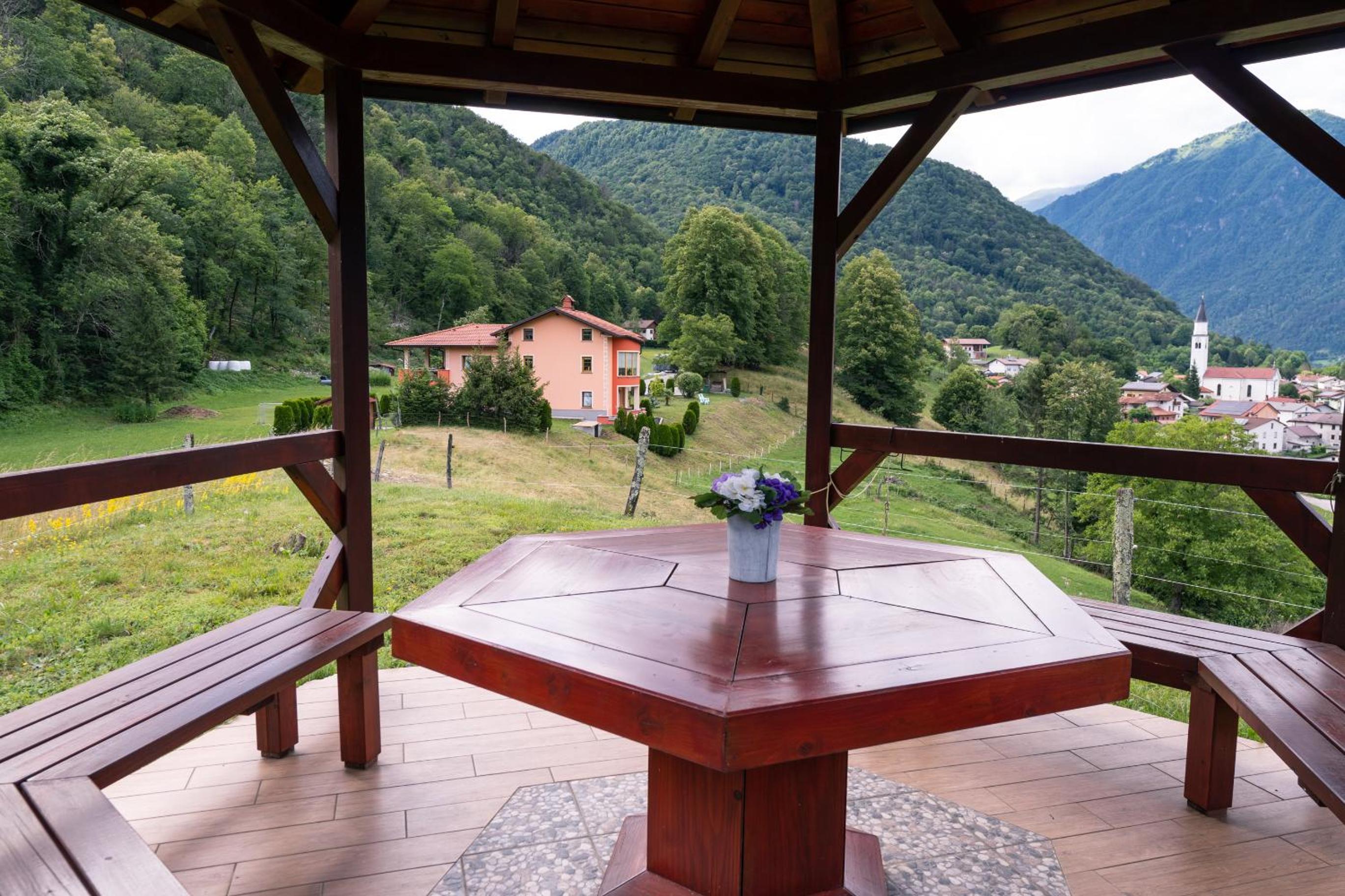 Apartma pr' Gamilcu view 5