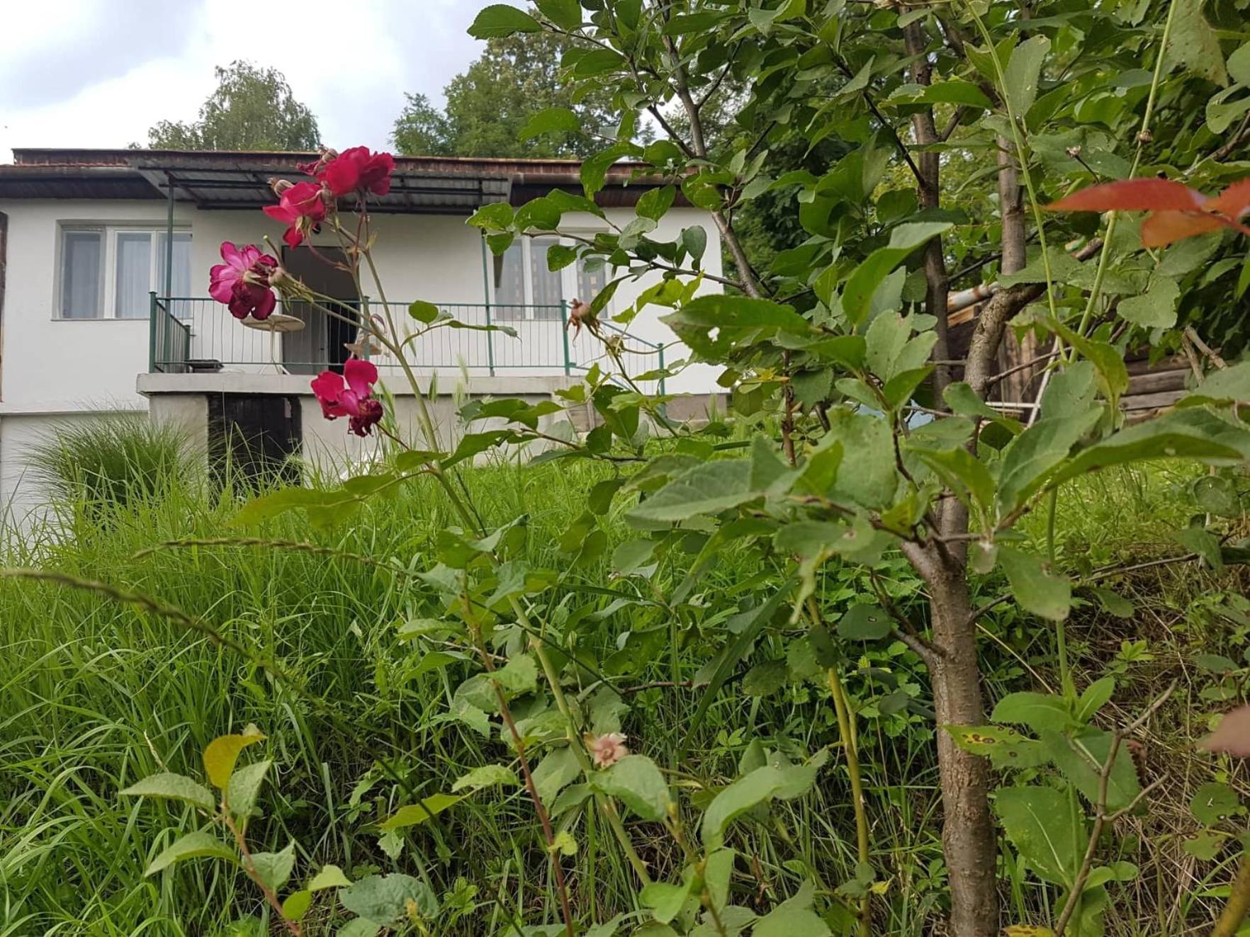 Apartman ,,Panorama''