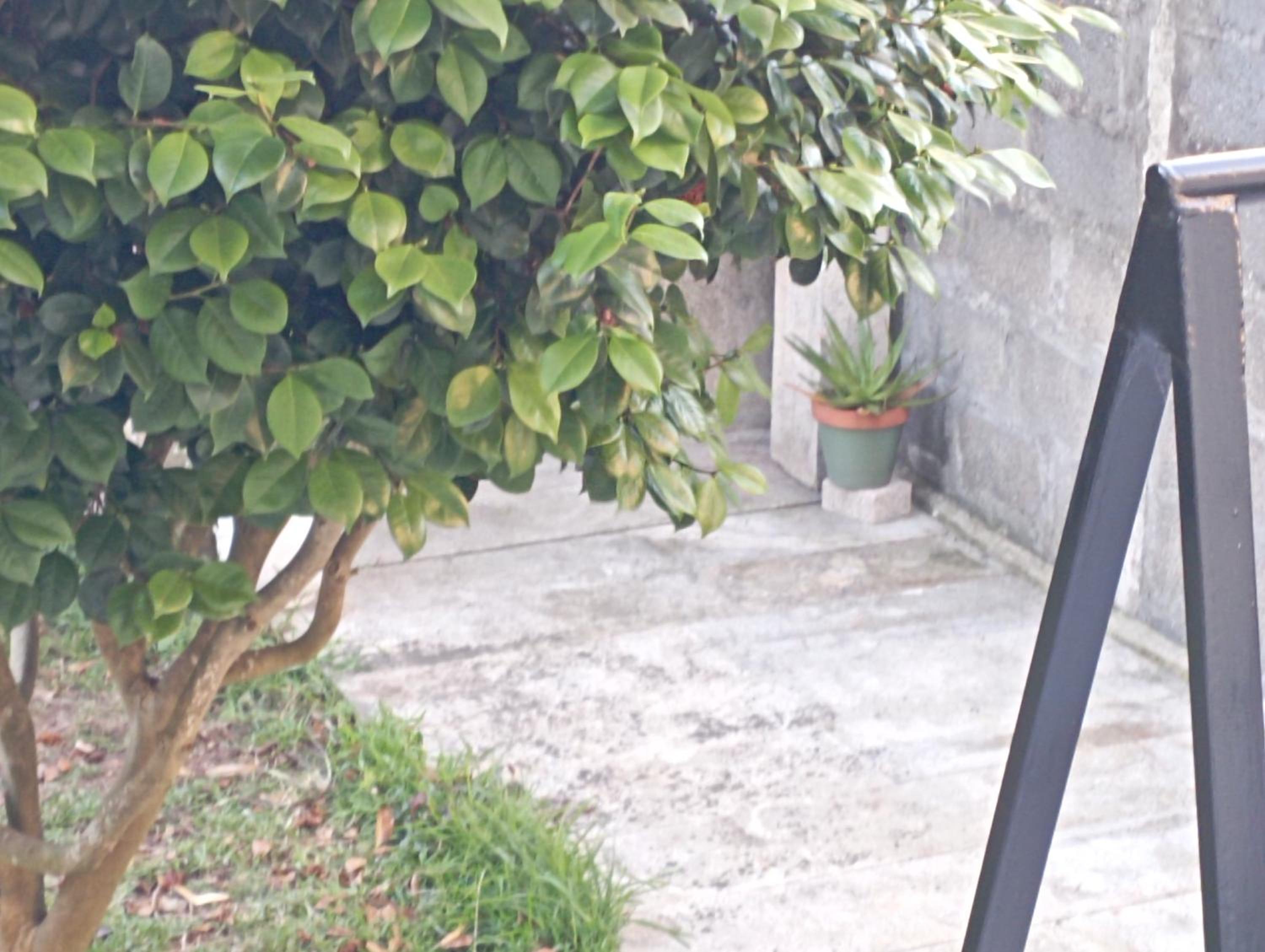 Casa Las Vitorinas