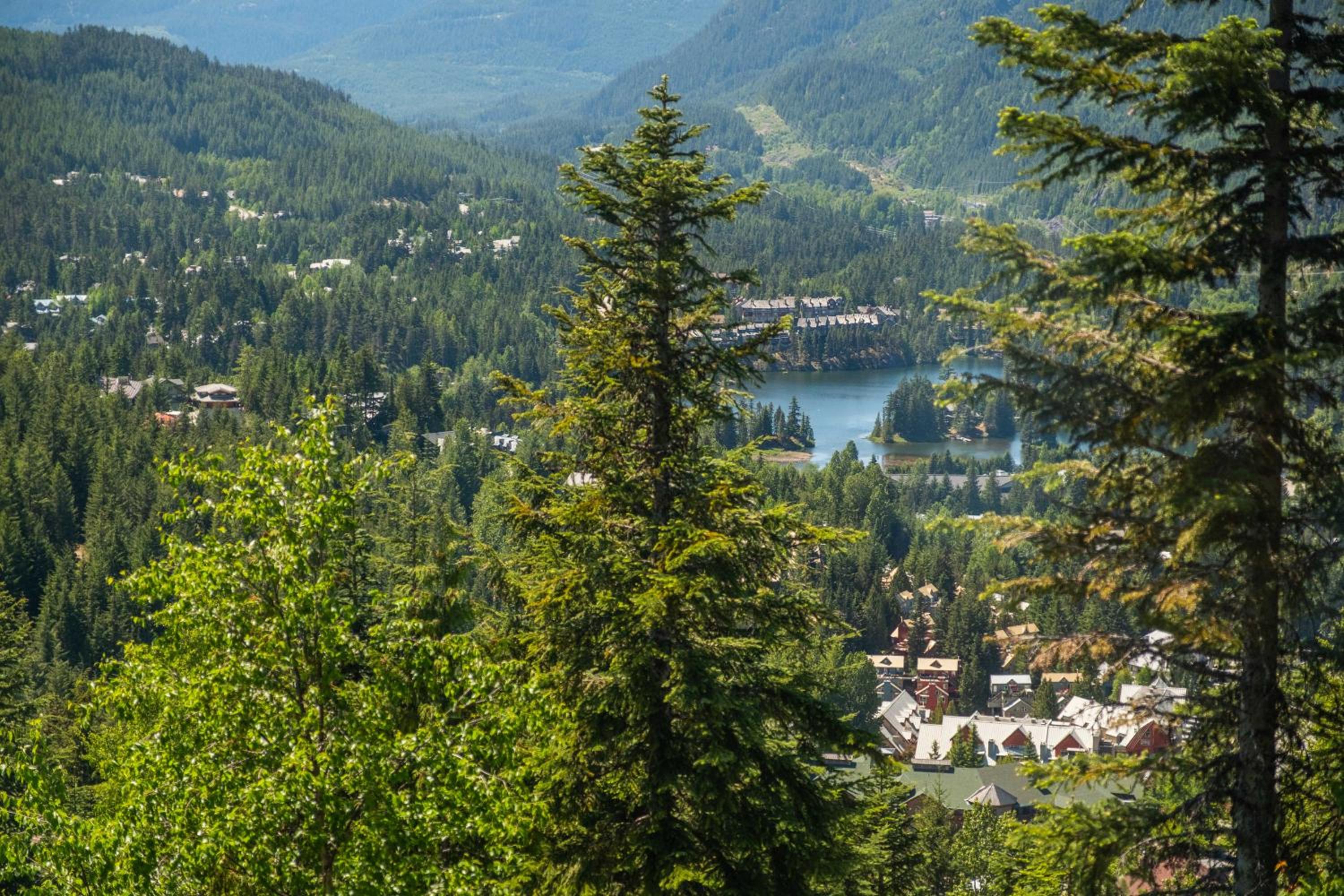 Taluswood Bluffs by Outpost Whistler