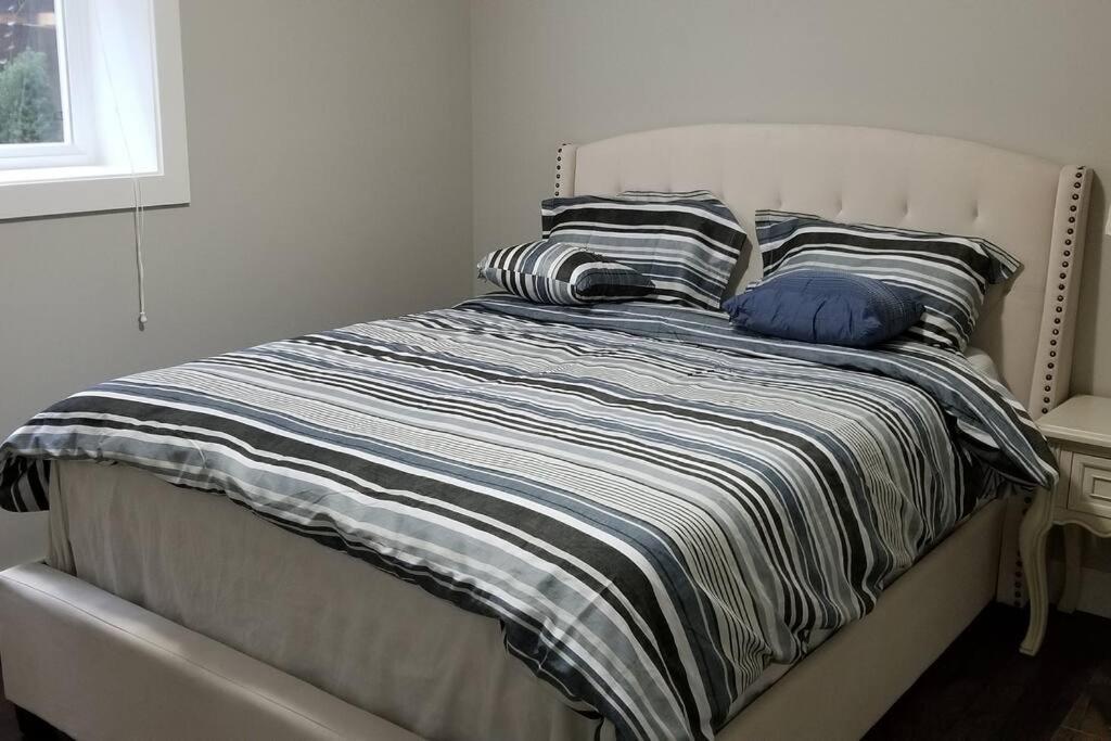 Spacious Basement Suite(Brand New) Self-contained