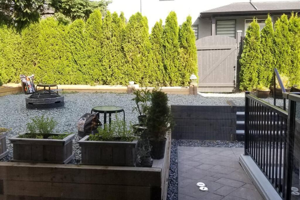 Spacious Basement Suite(Brand New) Self-contained