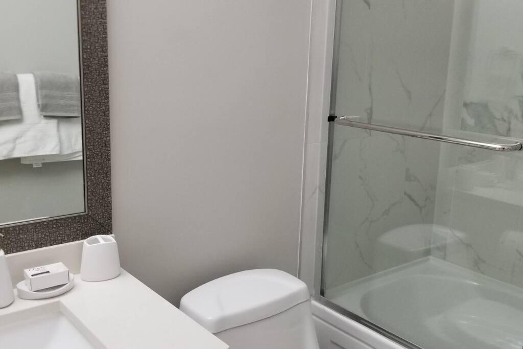 Spacious Basement Suite(Brand New) Self-contained