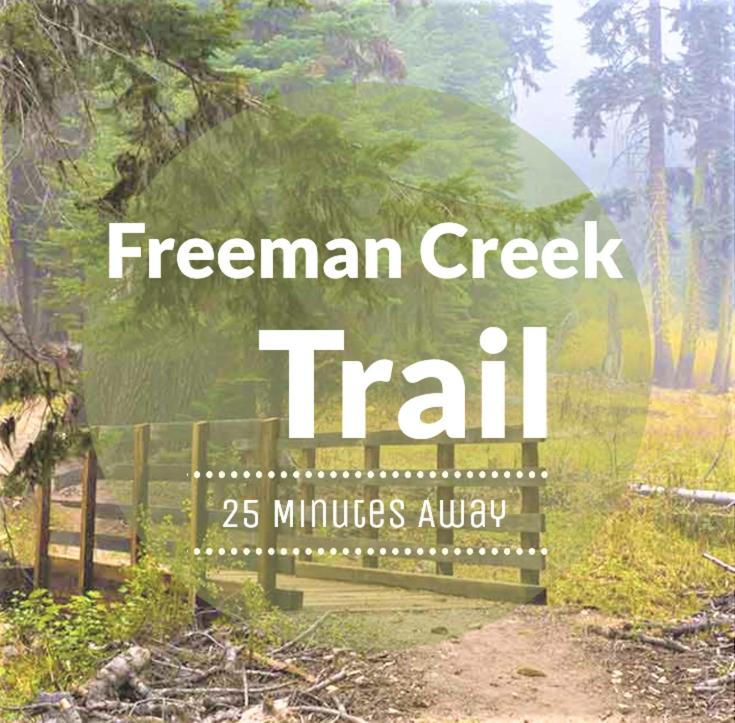Redwood Retreat, Mountains, Adventure and Nature view 4