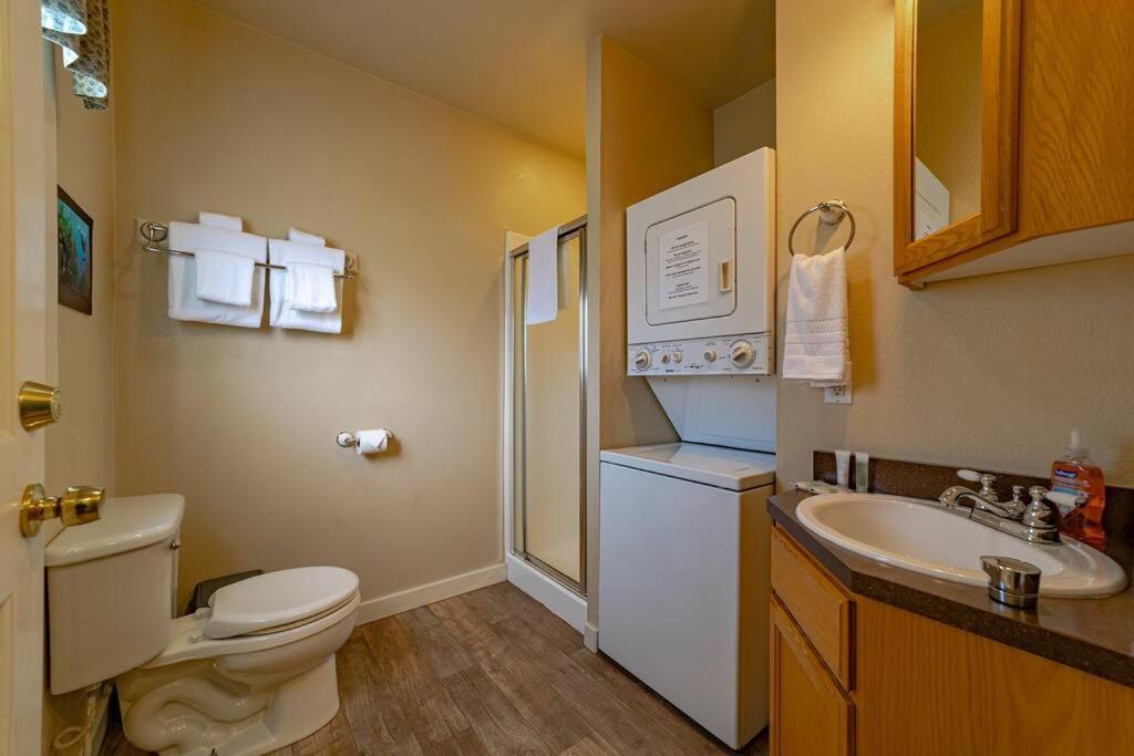Elk Meadow Cabins 11B Roosevelt Elk - Single Room