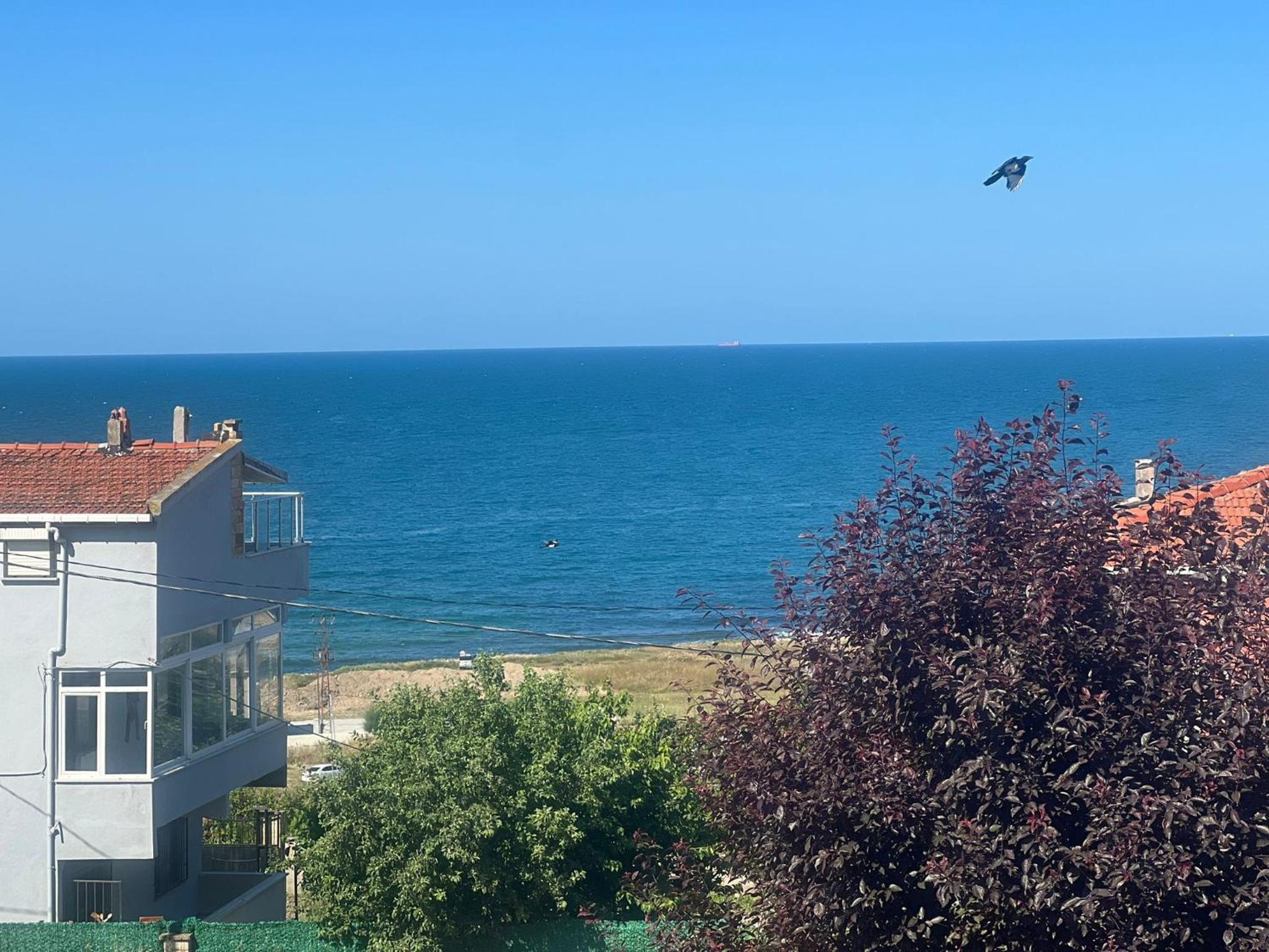 Villa Blacksea