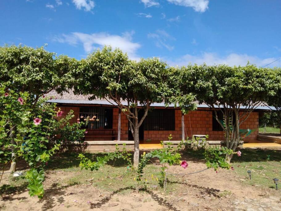 Finca Villa Arelis, cerca Hato Corozal