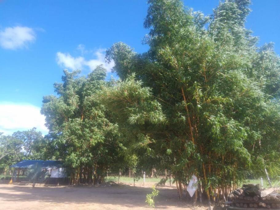Finca Villa Arelis, cerca Hato Corozal