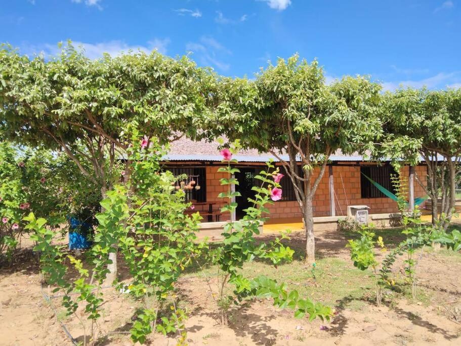 Finca Villa Arelis, cerca Hato Corozal