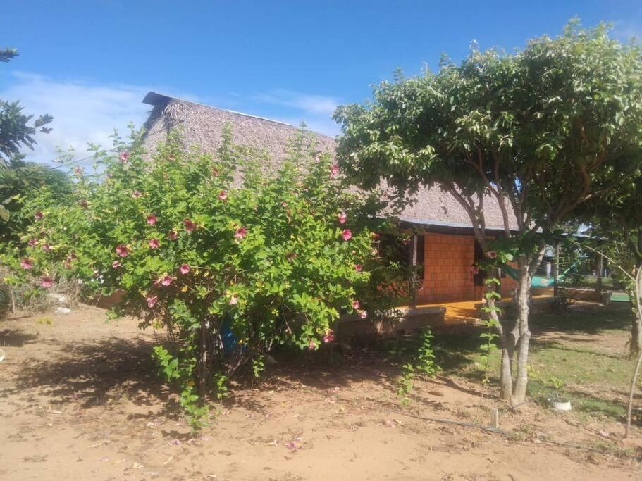 Finca Villa Arelis, cerca Hato Corozal