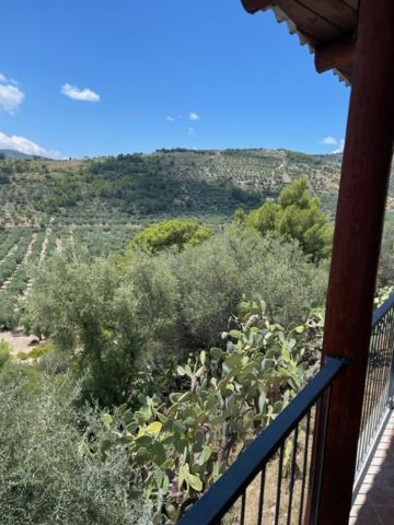 Villa Torre di Lupo by Casa Manfredi view 5
