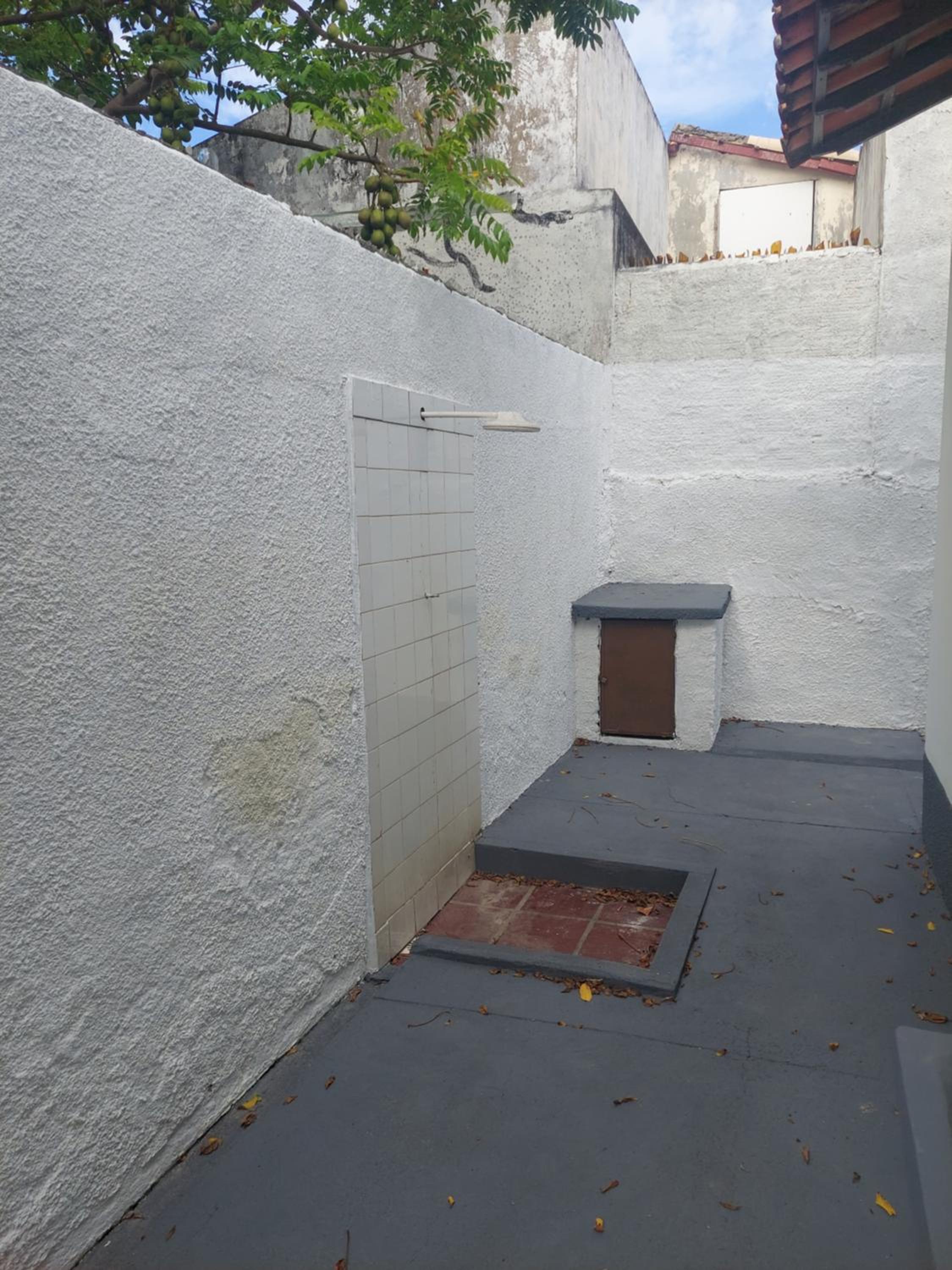Casa da Arvore