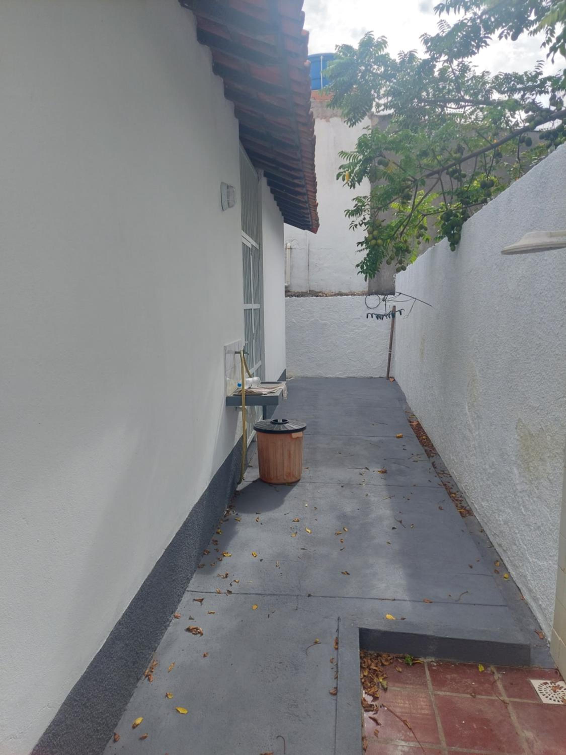Casa da Arvore