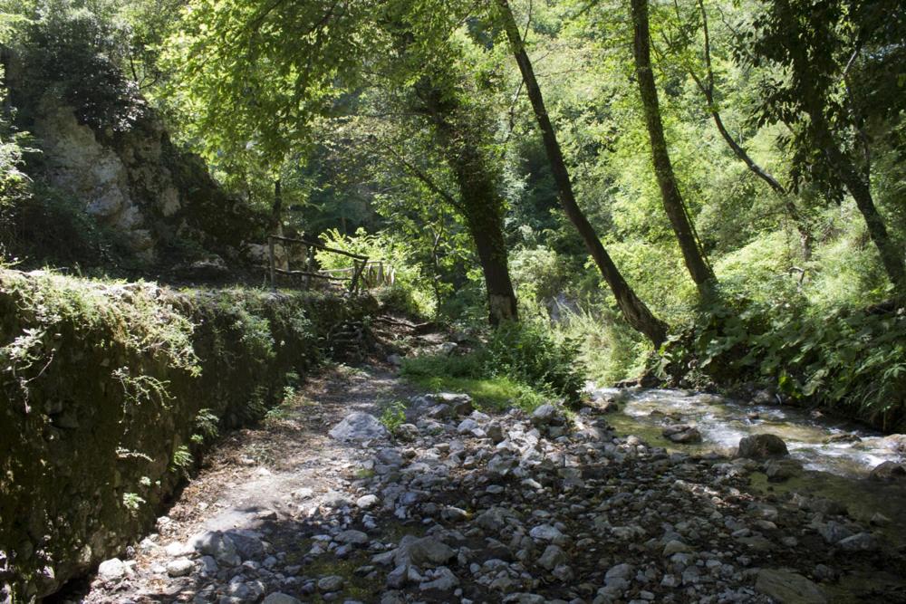 Dei Della Costiera