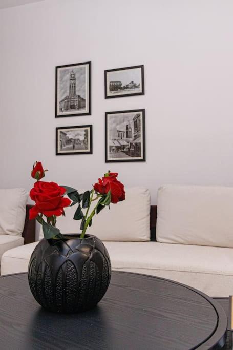 Stylish City Apartment