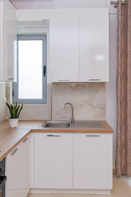 Stylish City Apartment