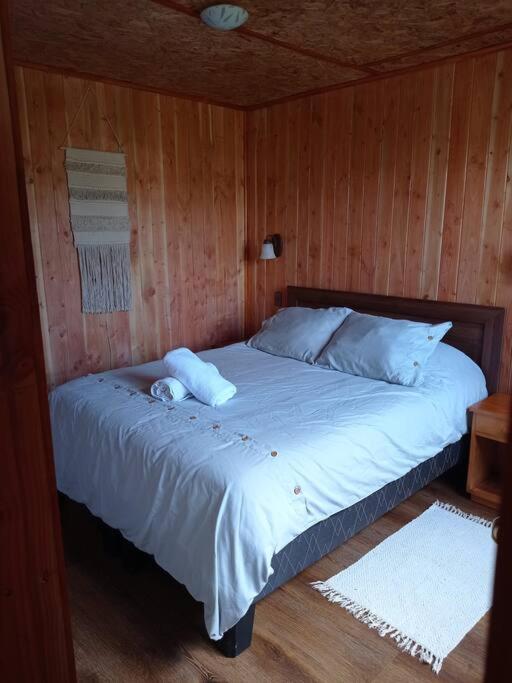 Cabaña en las afueras de Panguipulli