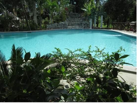 Fil-Am Garden Resort view 5
