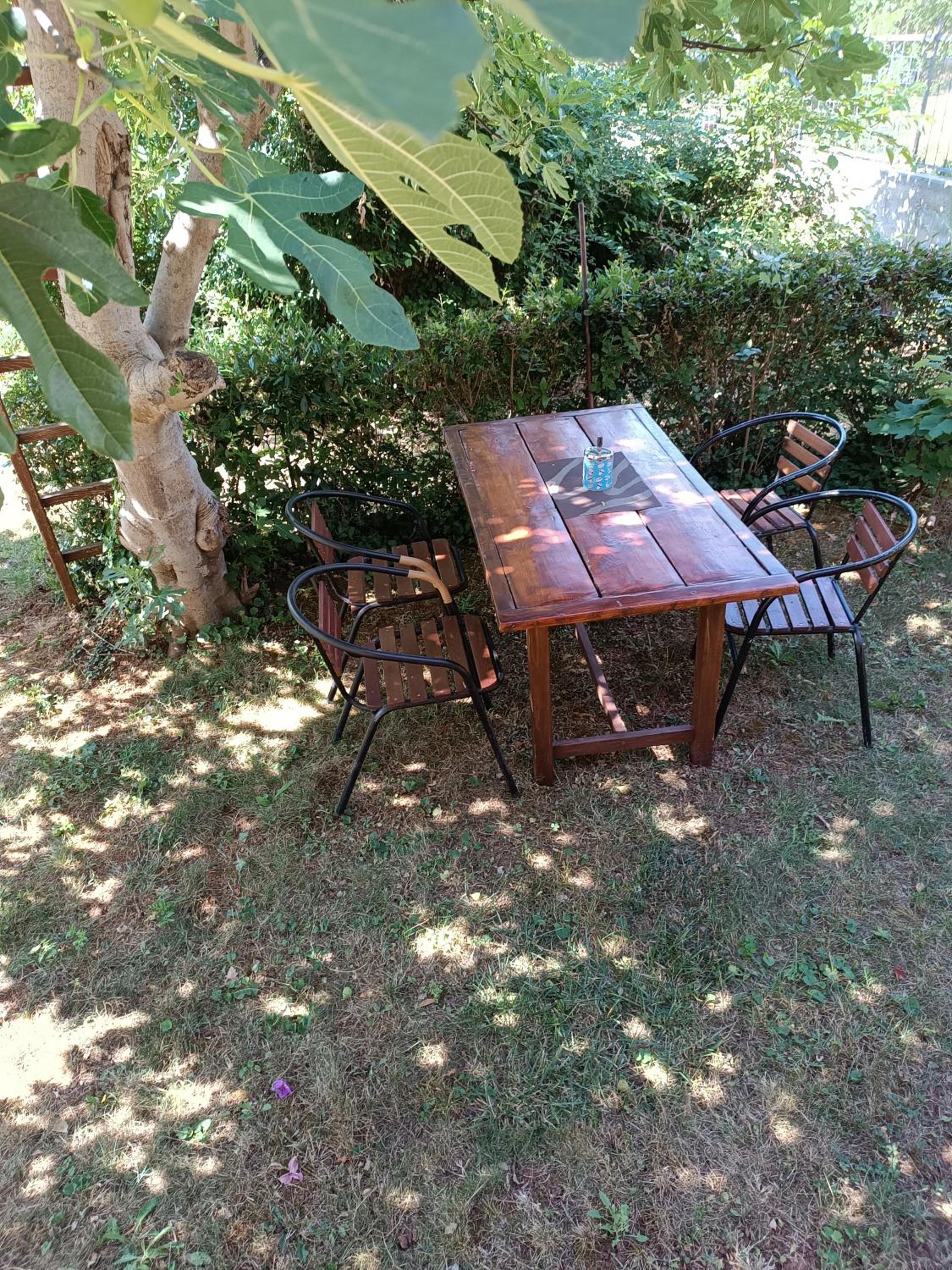 Photo 18