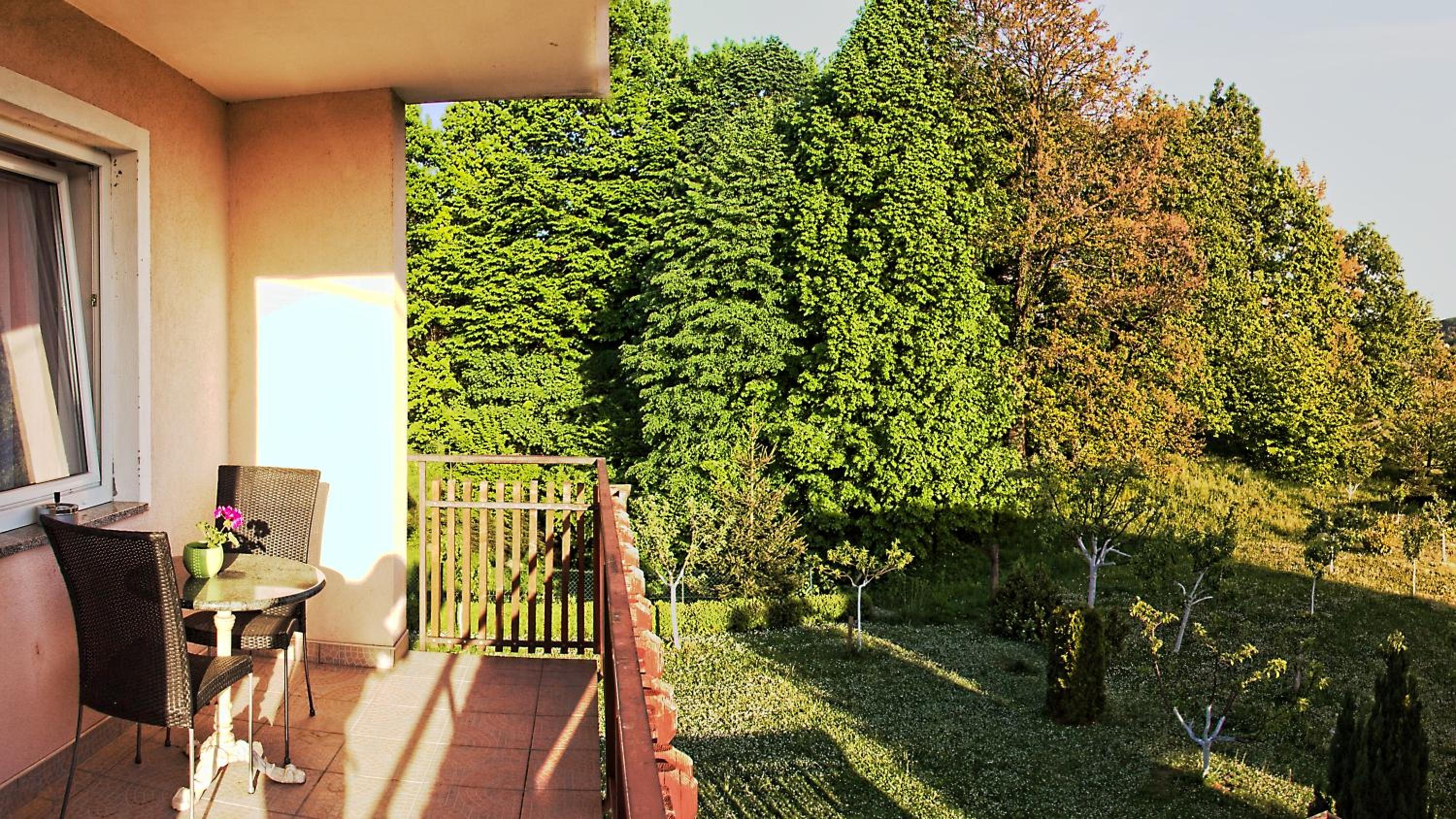 Photo 45