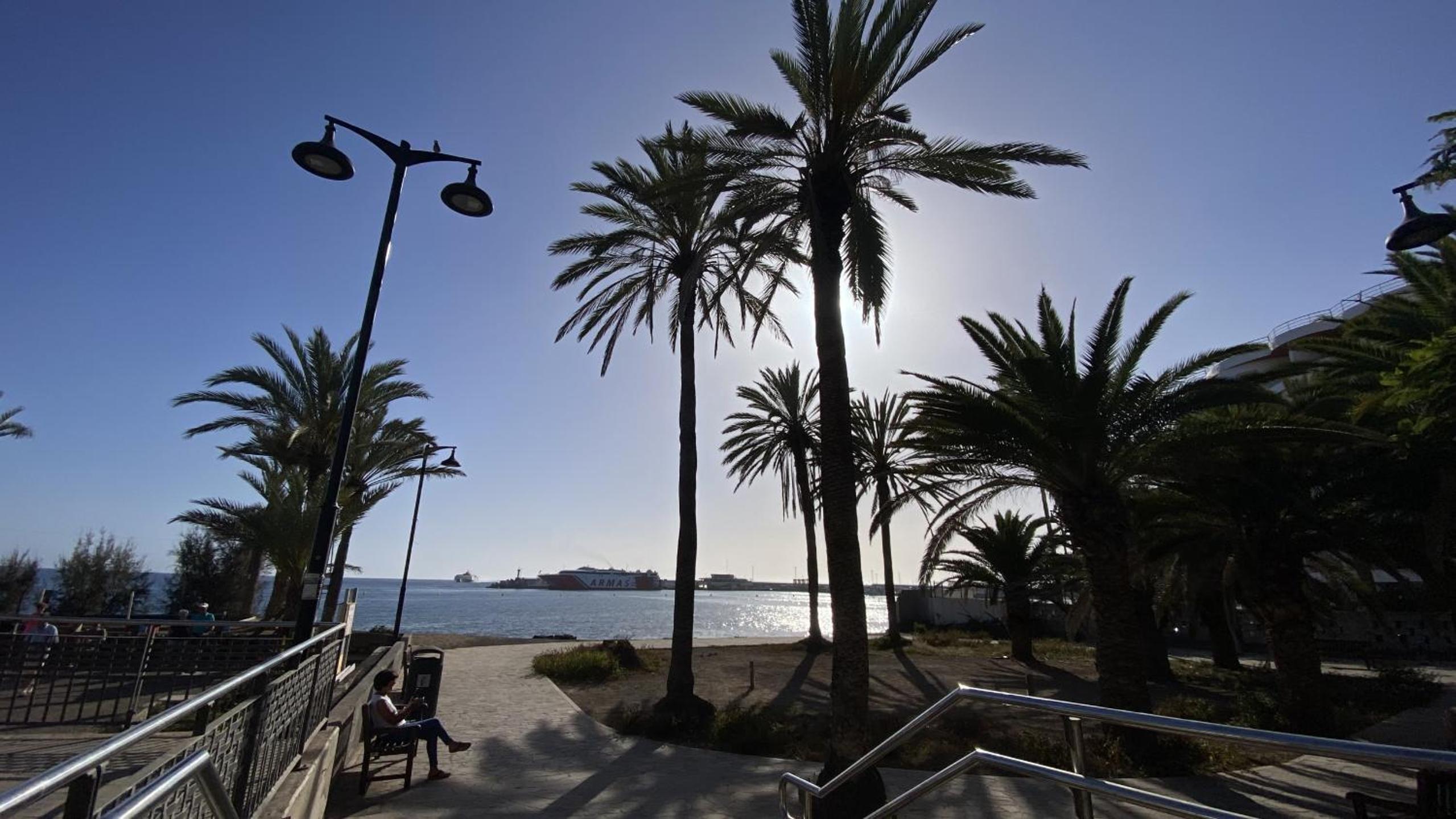 Canary Garden Sea Views by Deihu Experiences