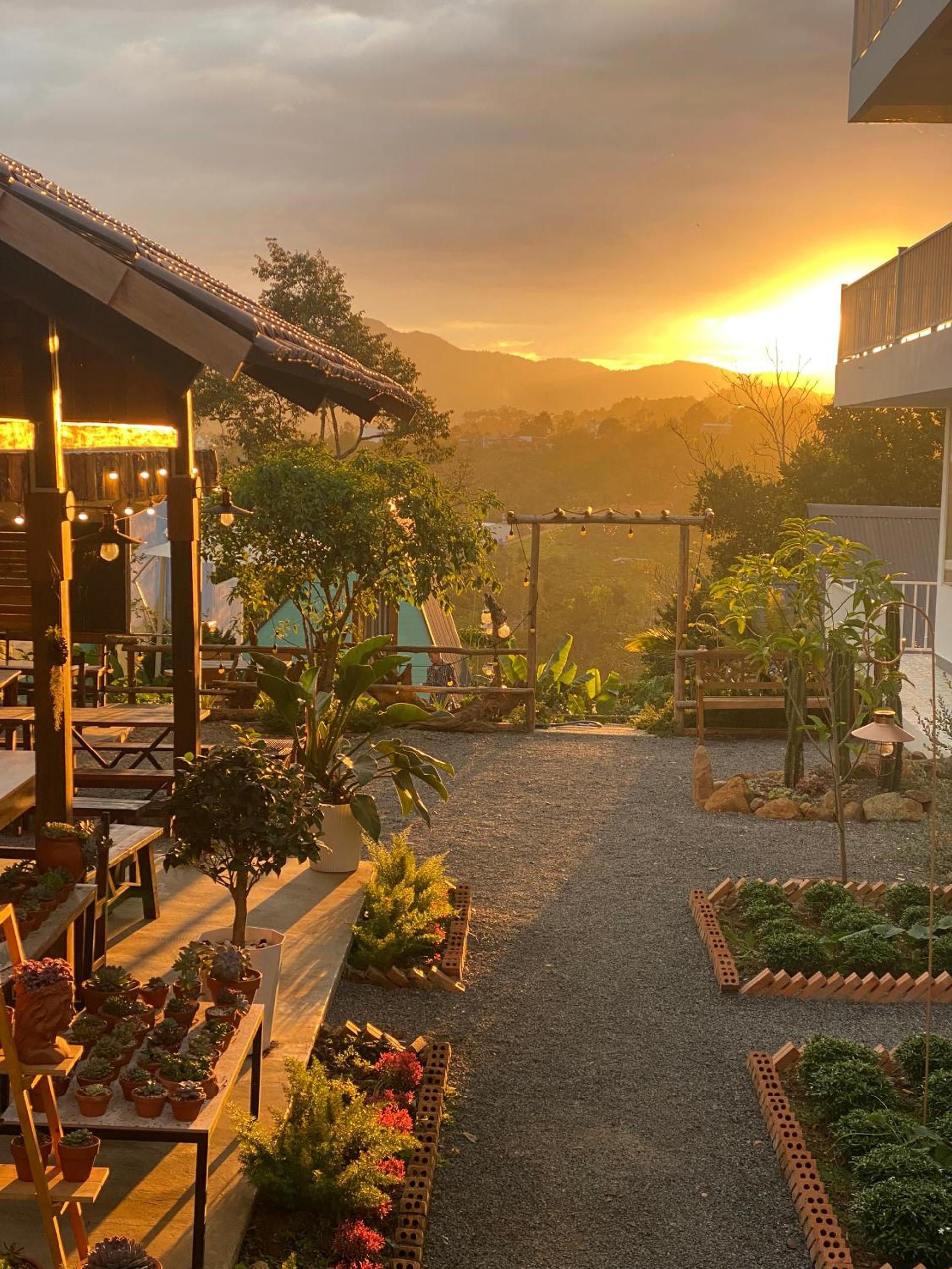 Dứa Homestay view 2