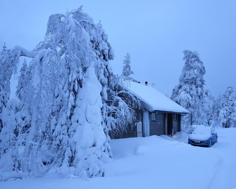 Poronpolku