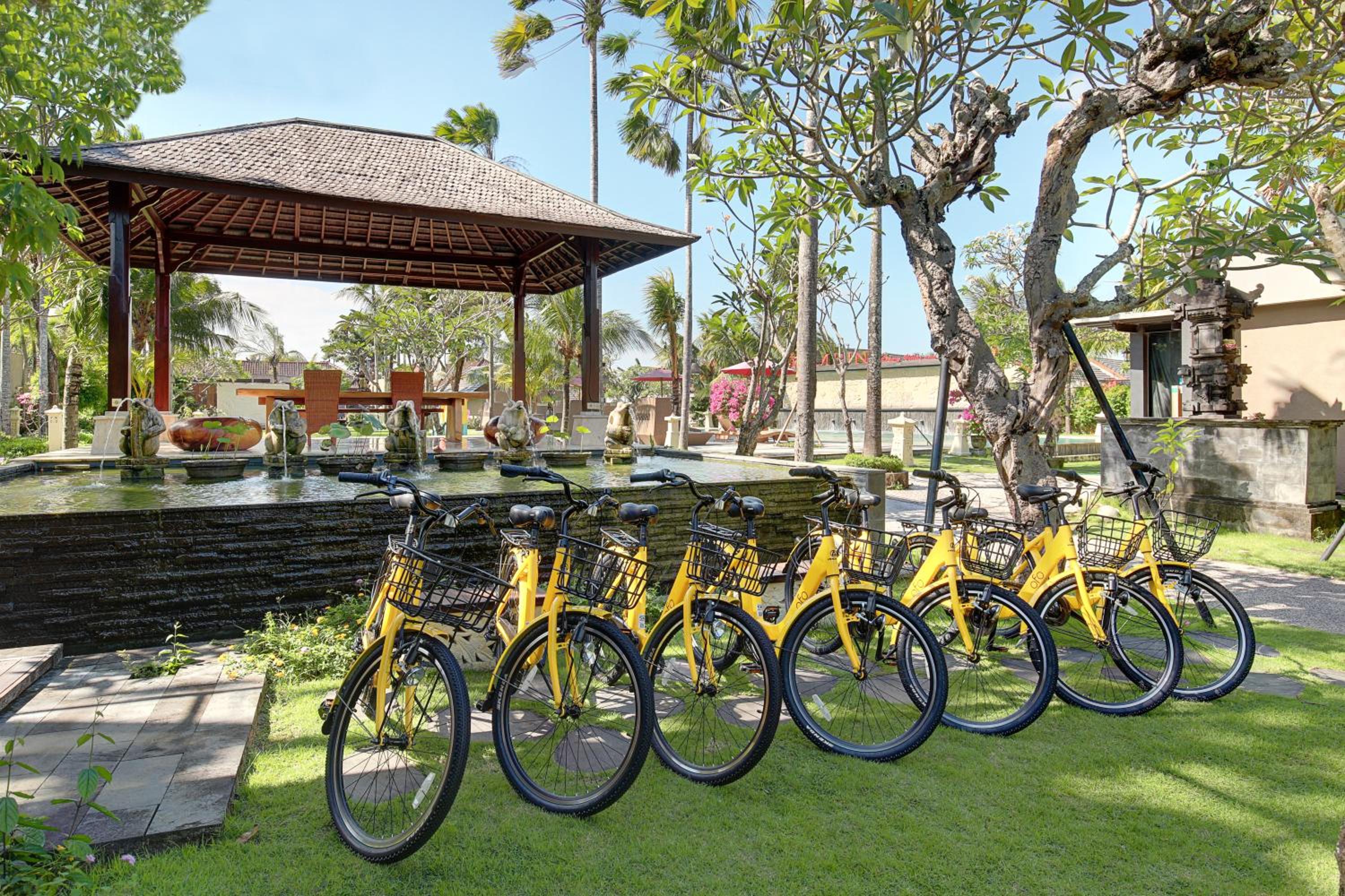 activities & amenities