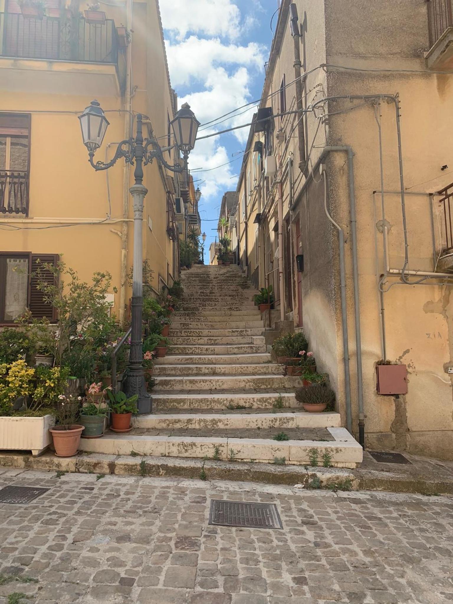Photo 64