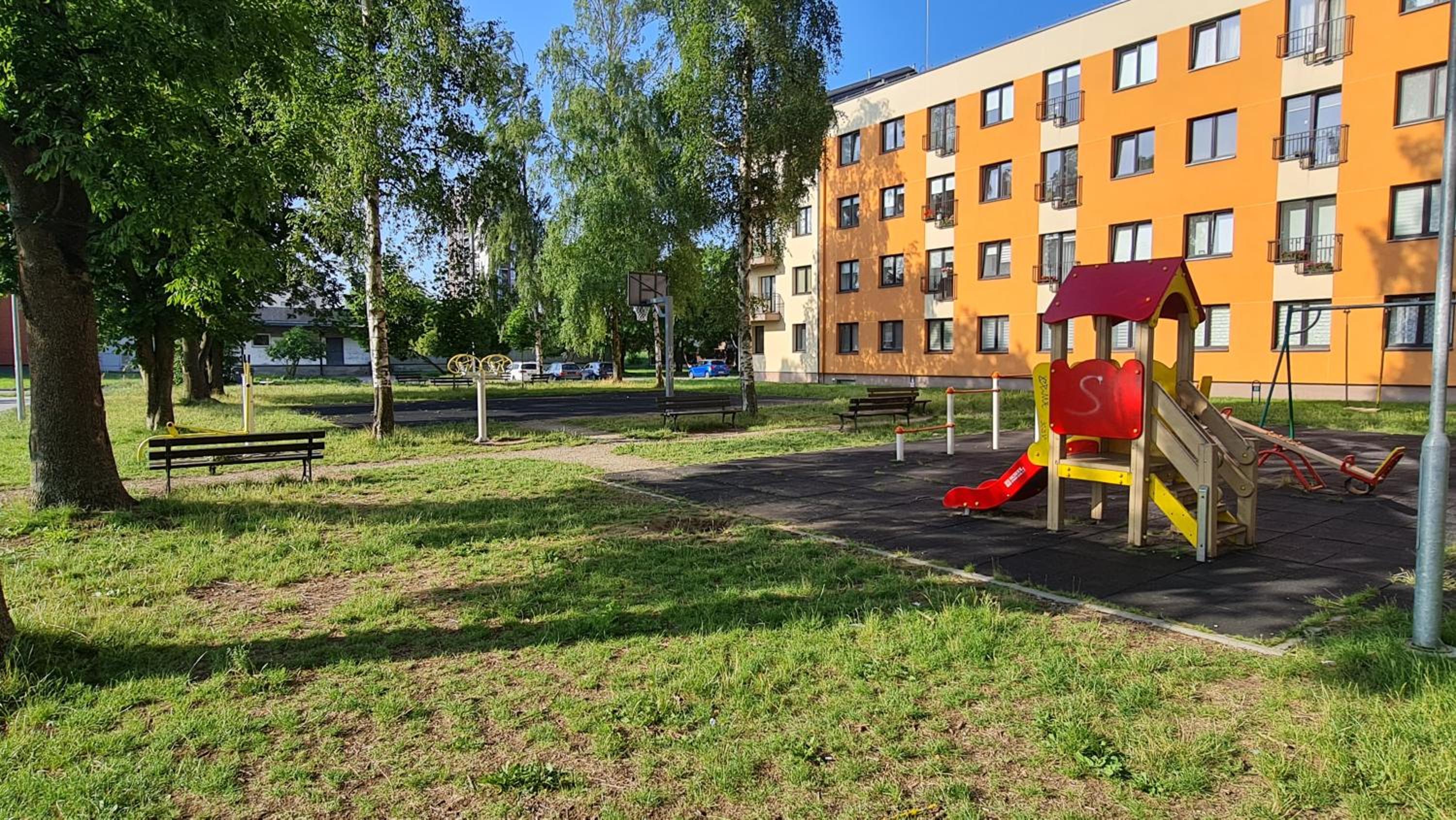 Photo 19