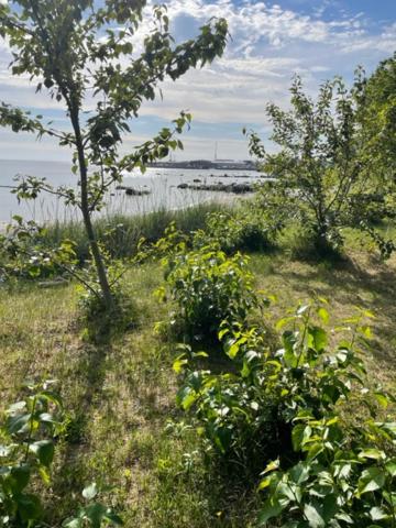 Villa Sharevik
