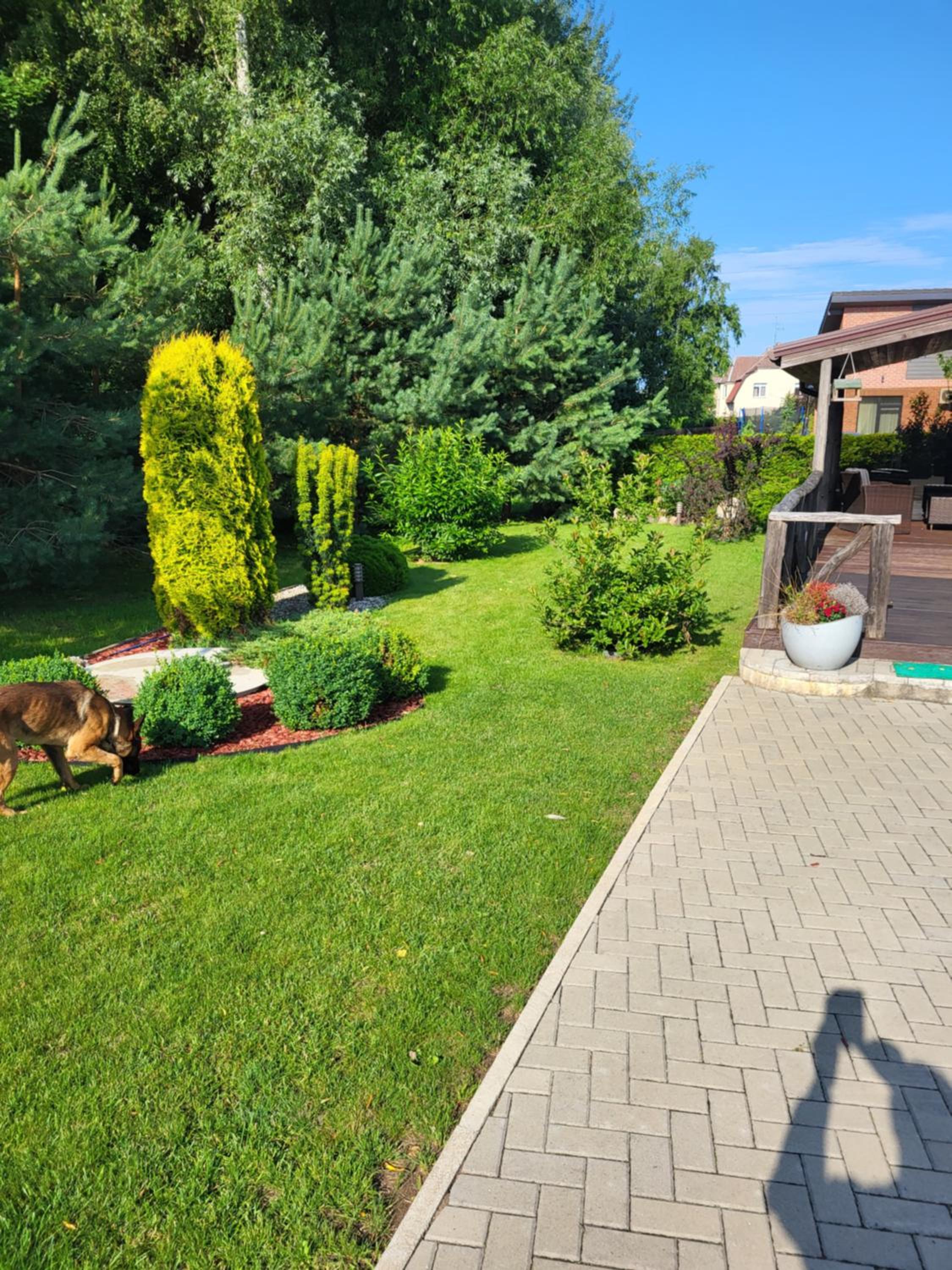Photo 8