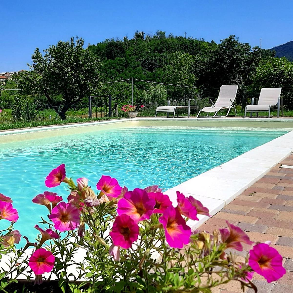 Agriturismo "Veritas" bed & Wine photo 4