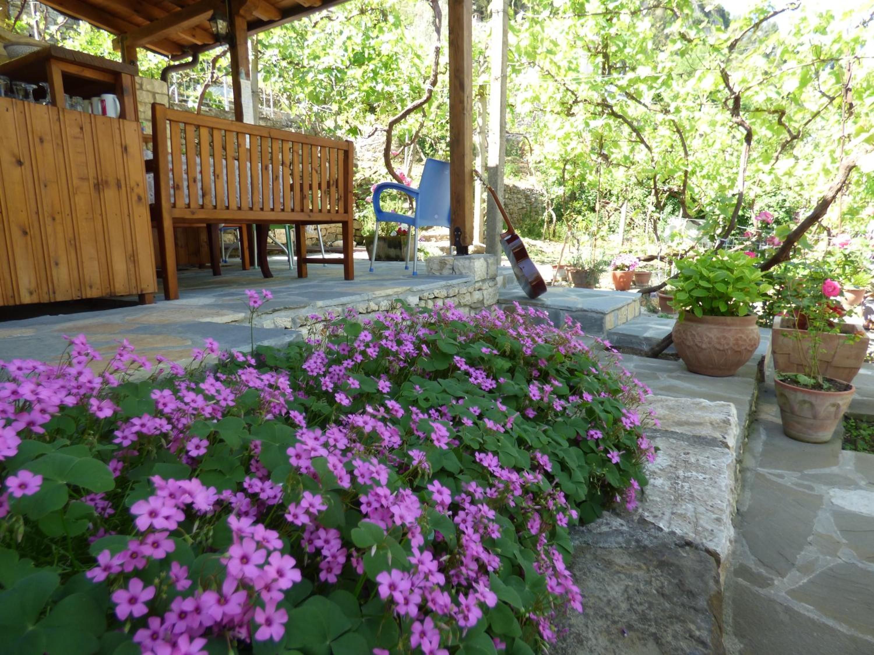 Guesthouse & hostel Lorenc
