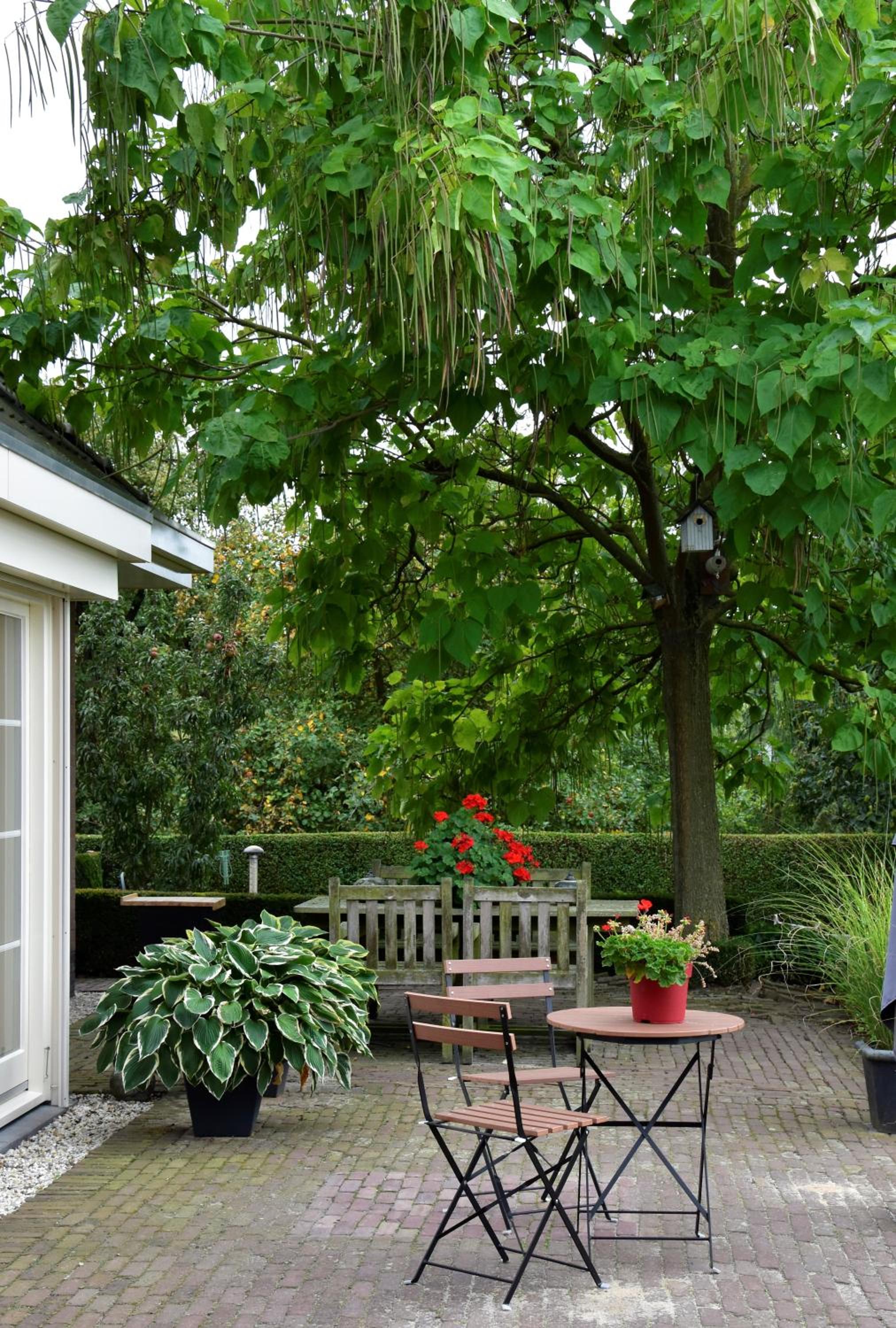 B&B De Rozenhorst view 4