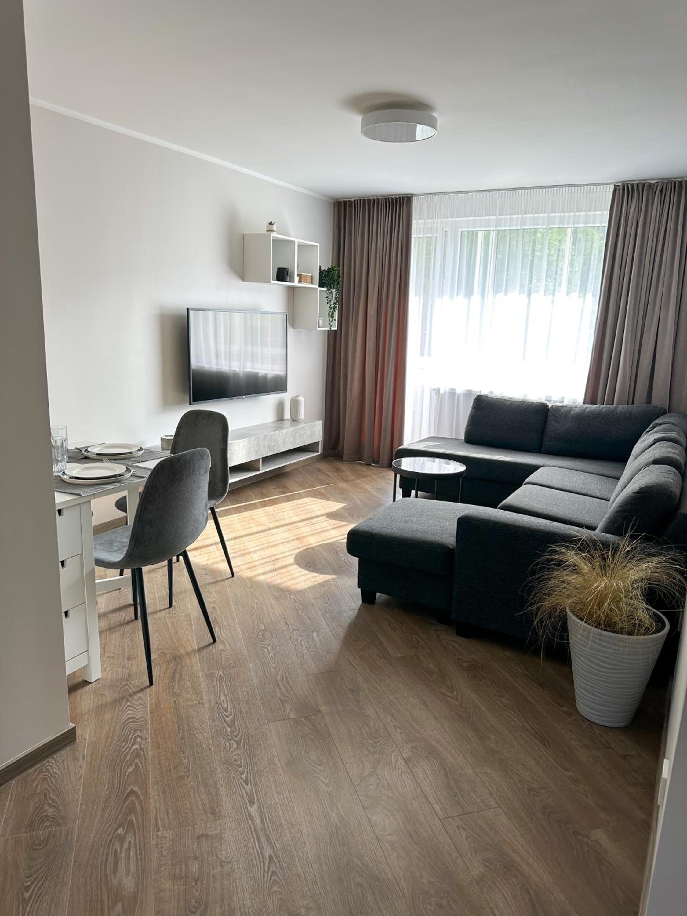 Apartment in Birstonas view 2