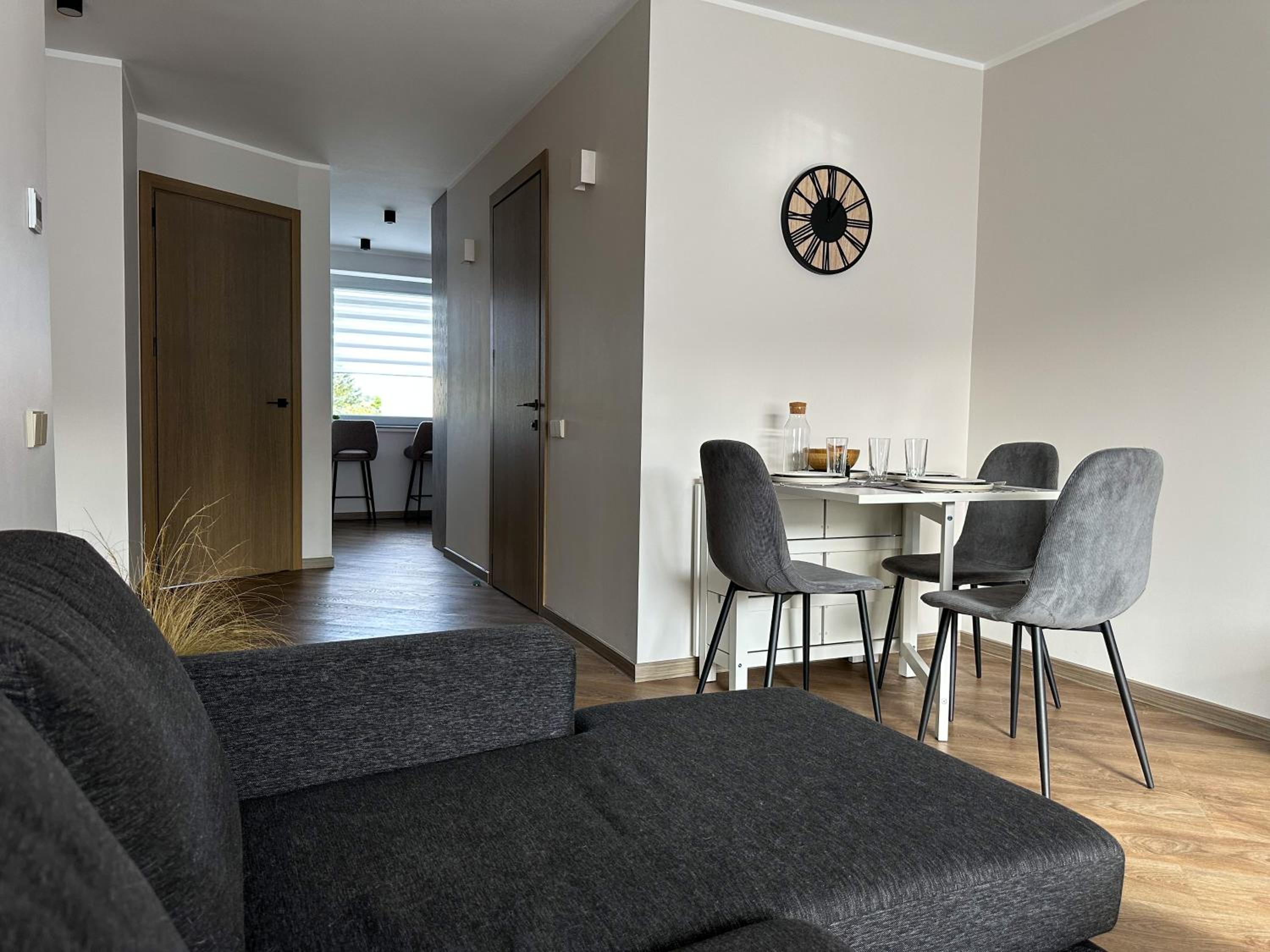 Apartment in Birstonas view 3
